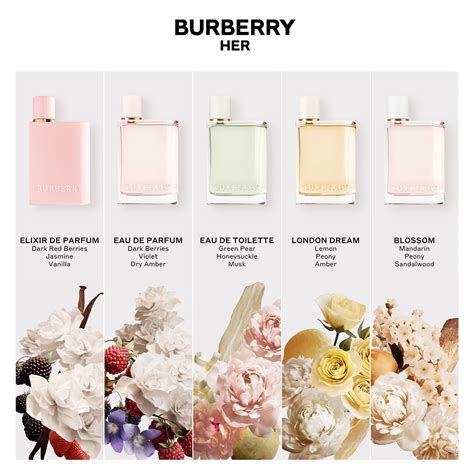 burberry her parfum kaufhof|Burberry Her perfume 5 oz.